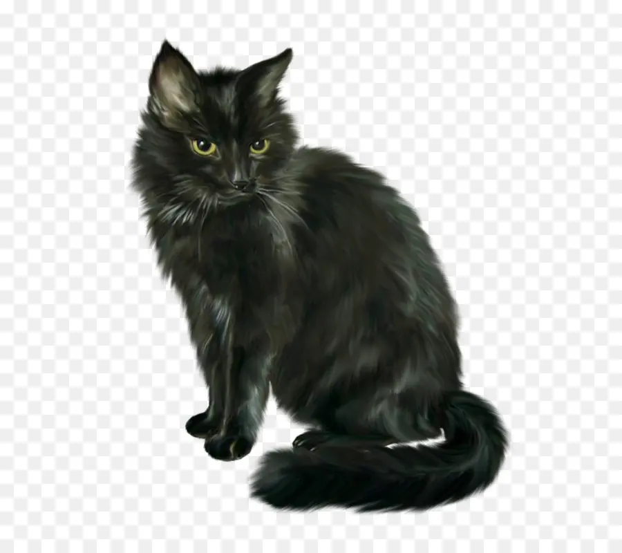 Gato Negro，Felino PNG