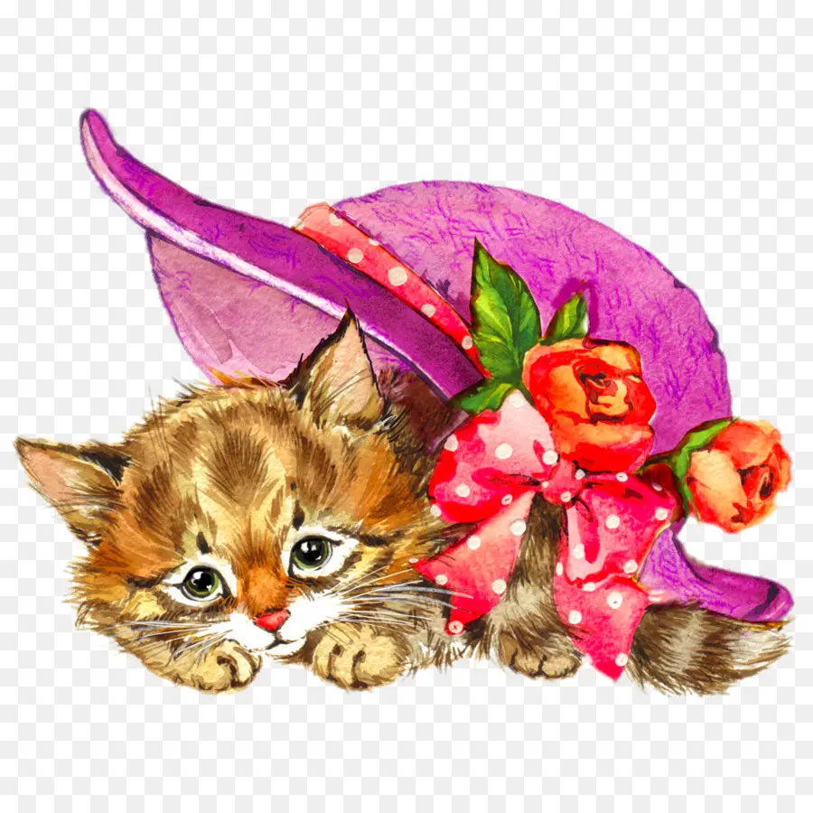 Gatito Con Sombrero，Lindo PNG