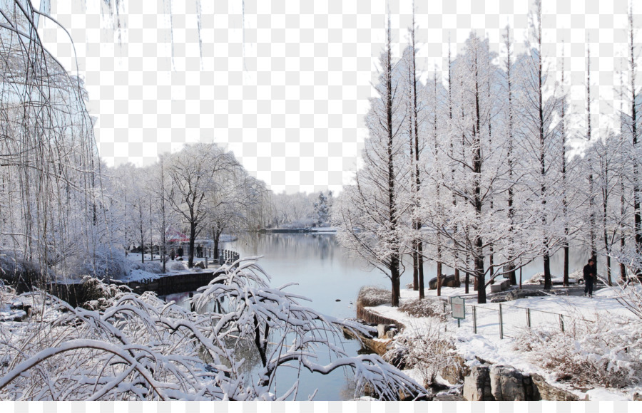 El Jardín Botánico De Beijing，El Jardín Botánico De PNG