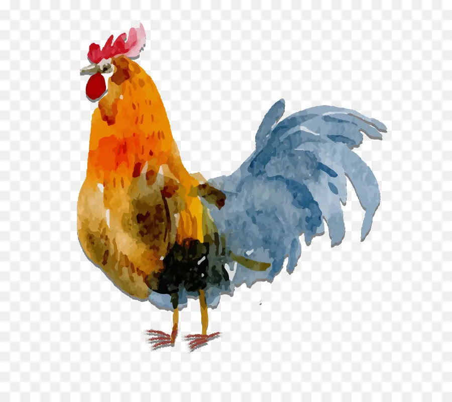 Gallo，Pollo PNG