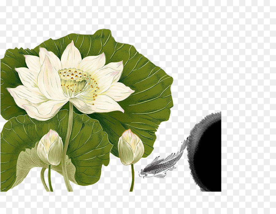 Flor De Loto，Hojas PNG