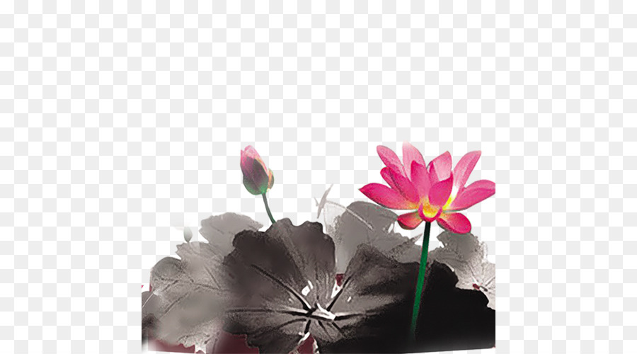 Tinta De Lavado De Pintura，Nelumbo Nucifera PNG