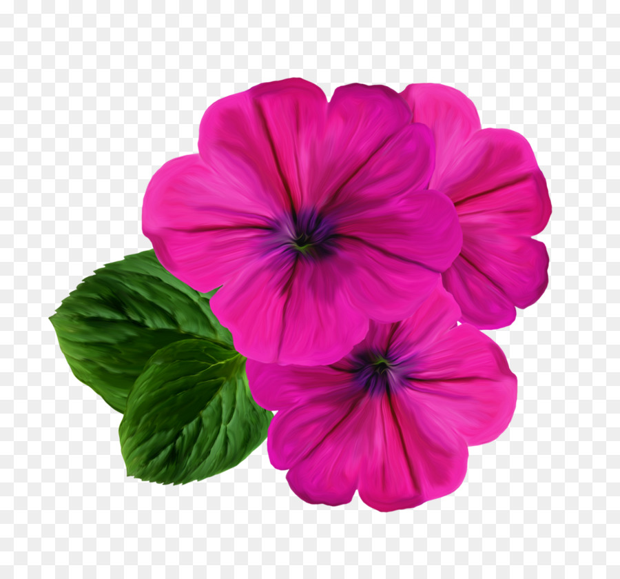 Flor，La Fotografía PNG