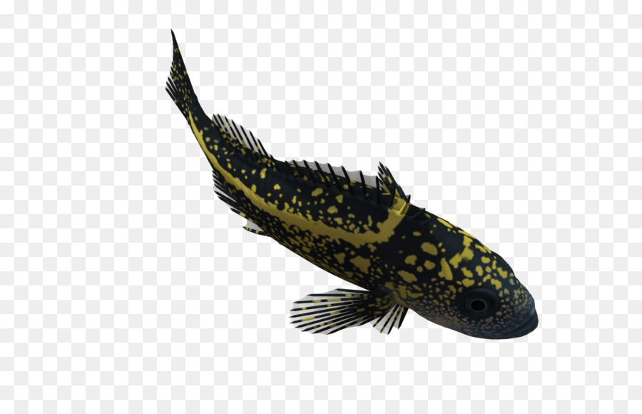 3d Computer Graphics，Los Peces PNG