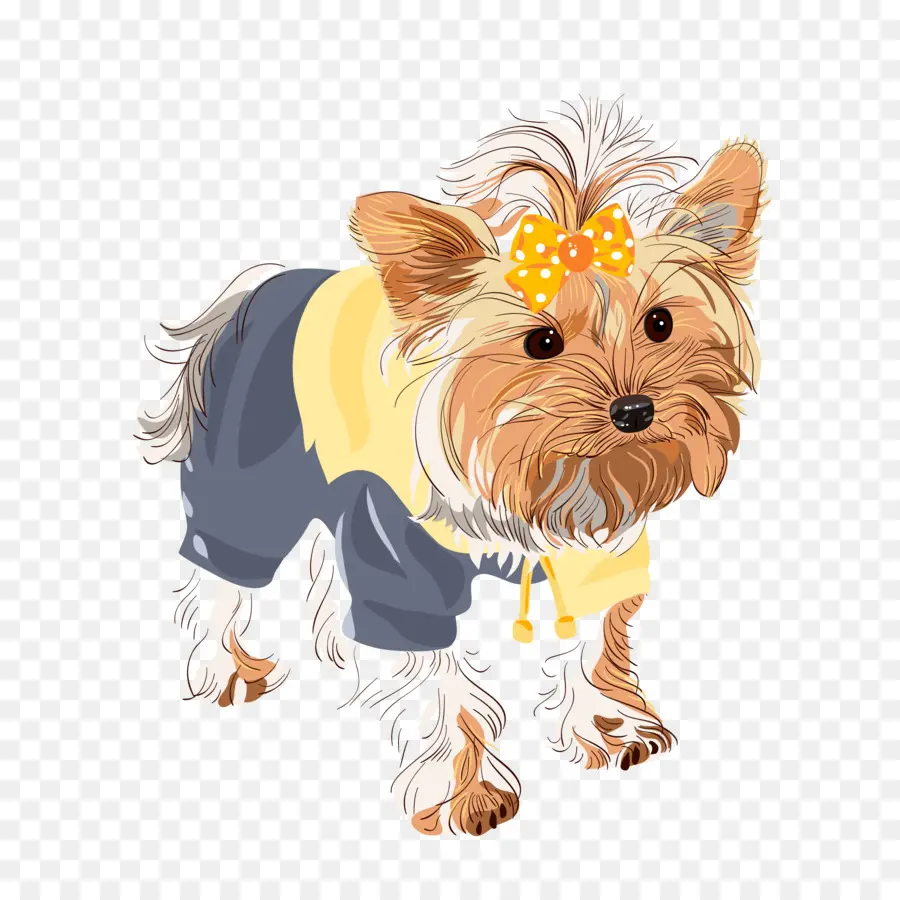 Terrier De Yorkshire，Perro PNG