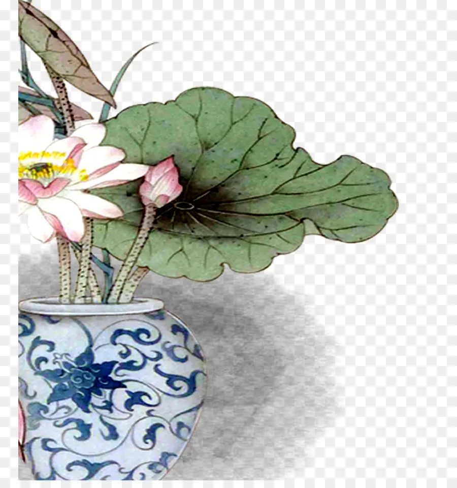 Descargar，Nelumbo Nucifera PNG