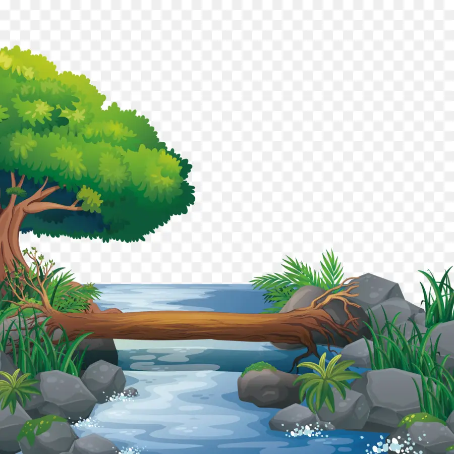 La Naturaleza，Adobe Illustrator PNG