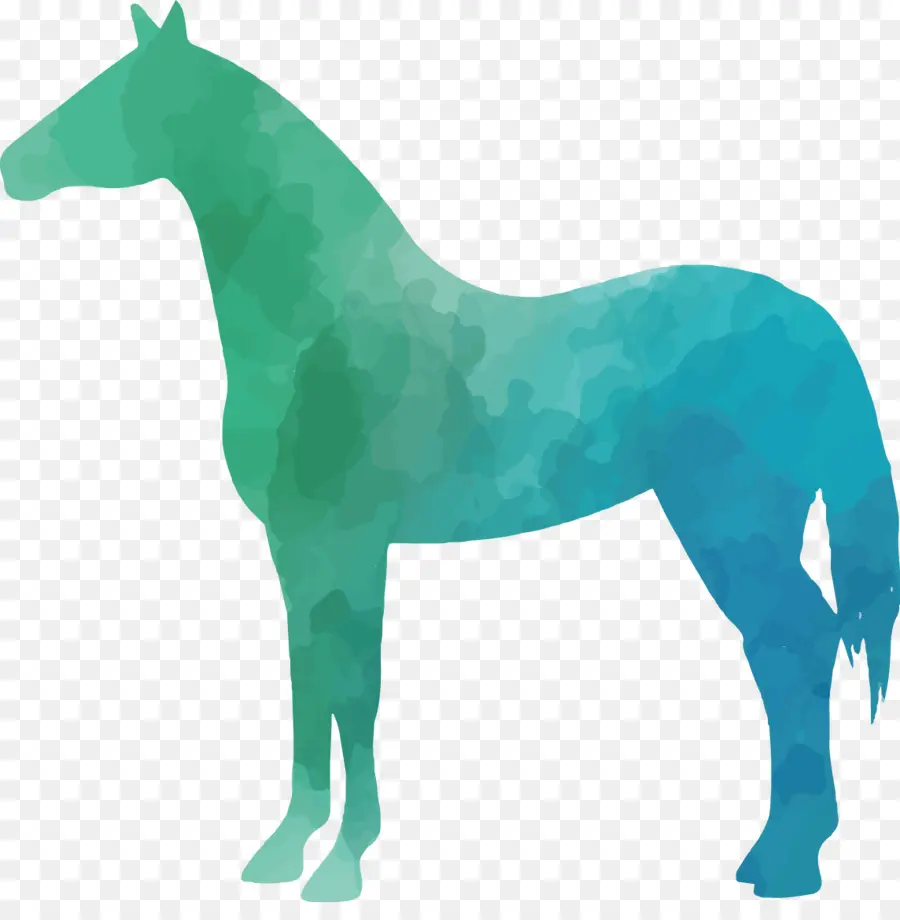 Mula，Caballo PNG