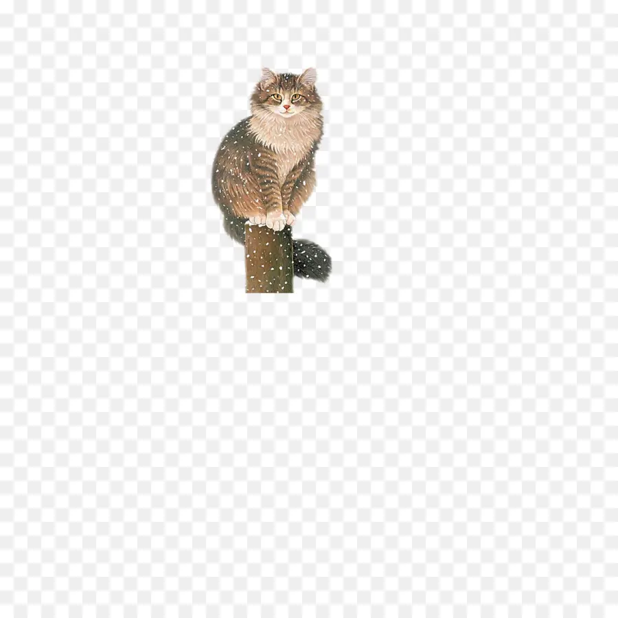 Gato，Mascota PNG