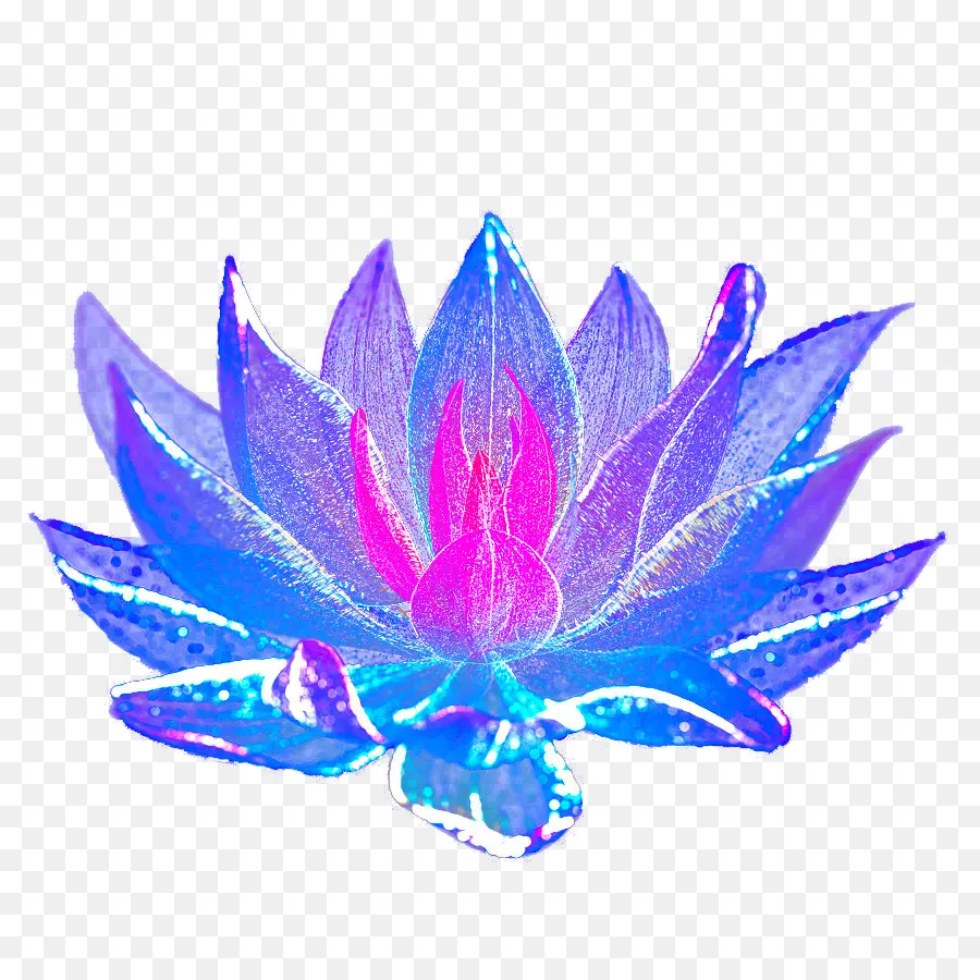 Azul，Flor Azul PNG