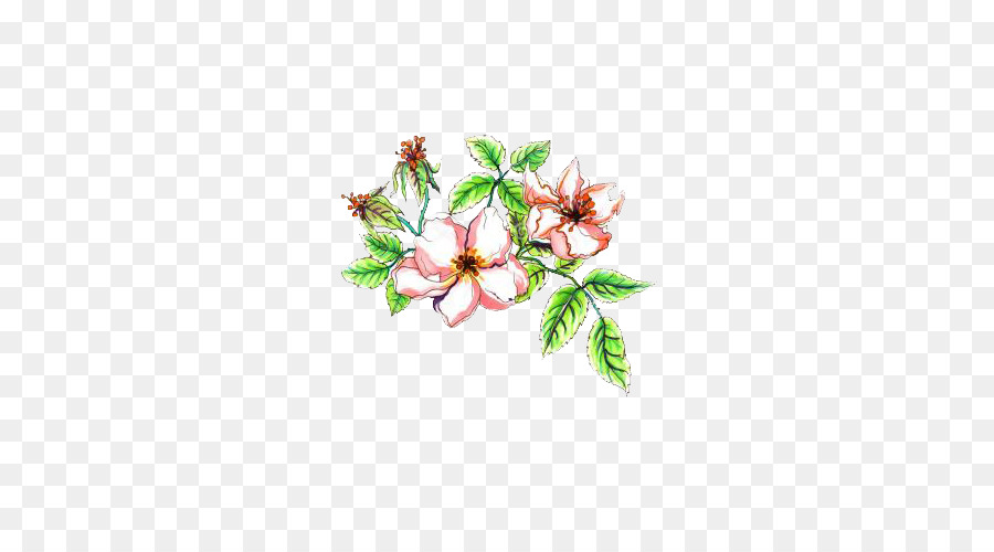 Bosquejo De Flores，Dibujo PNG