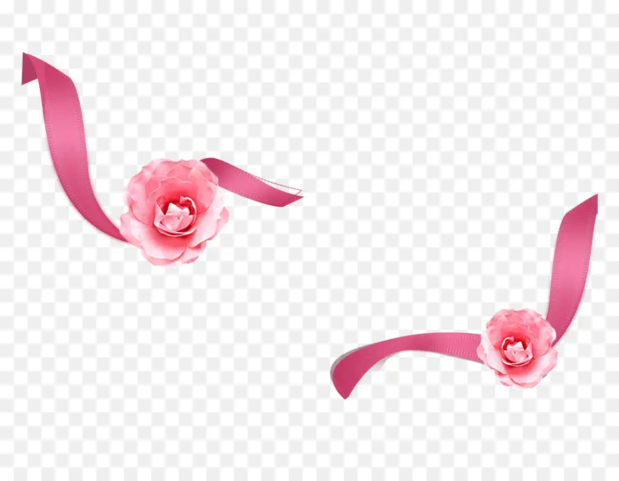 Rosa，Cinta Rosa PNG