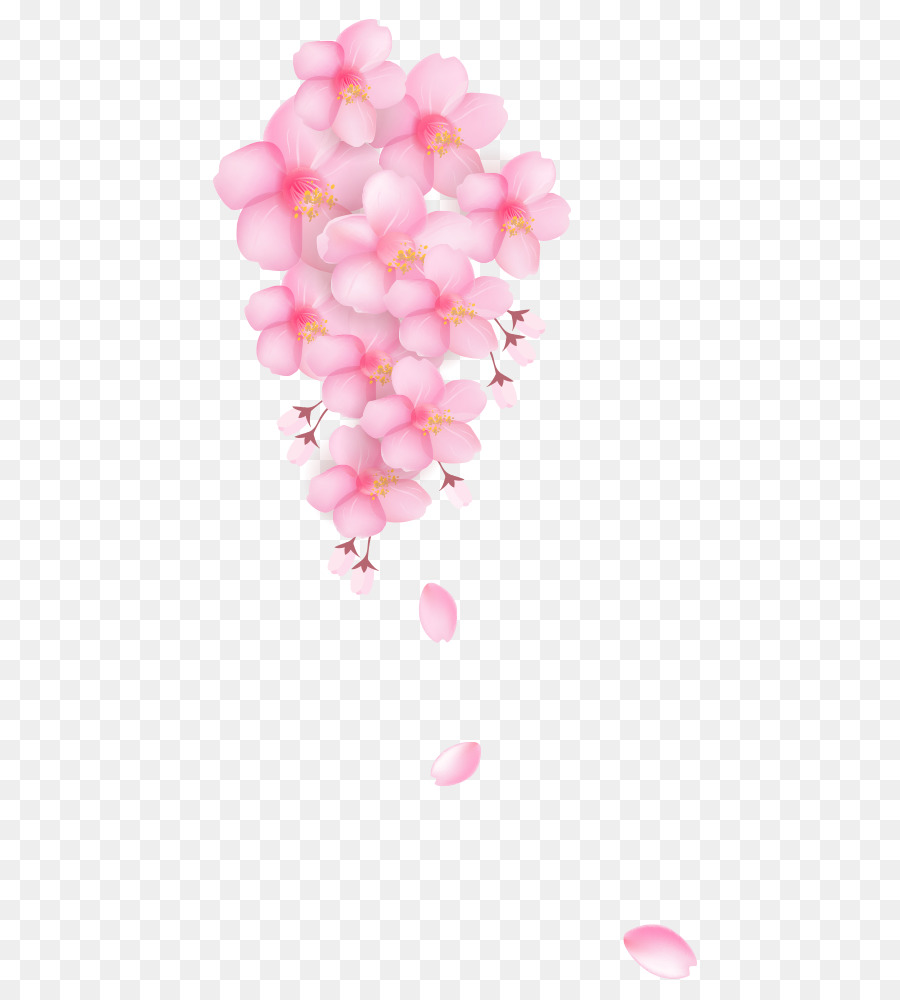 Flores De Cerezo，Rosa PNG