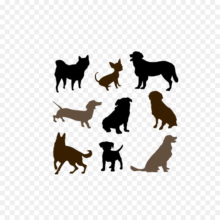 Perros，Mascotas PNG