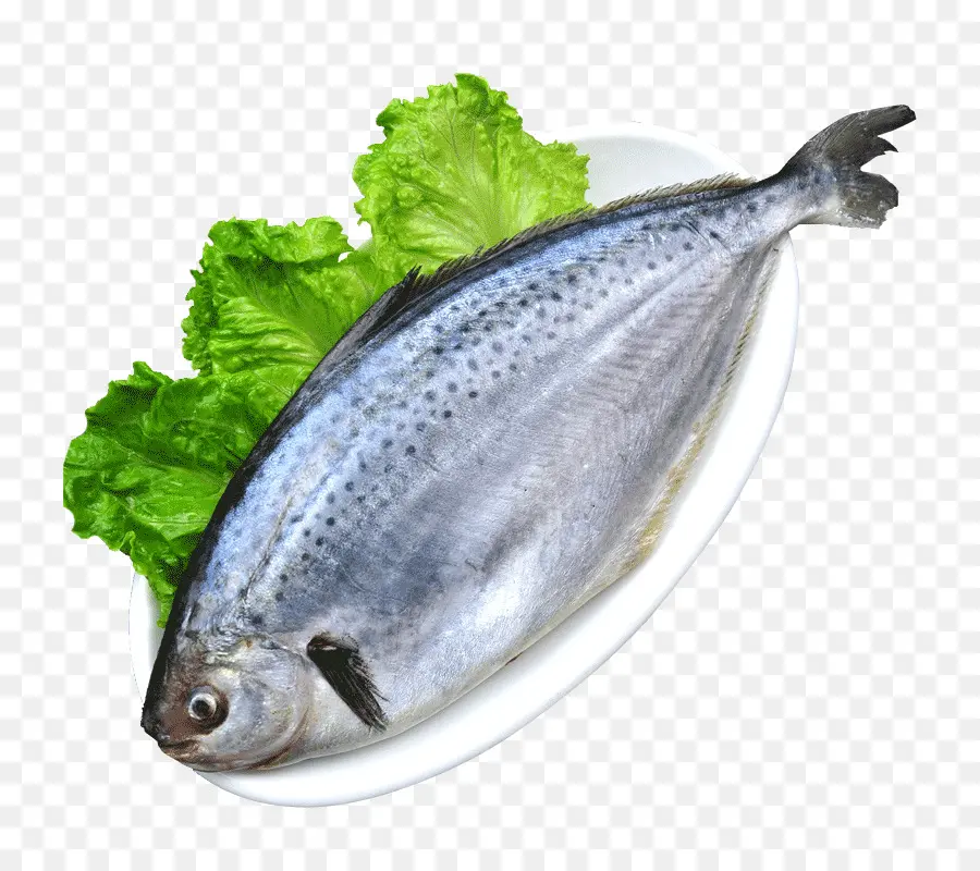 Pez，Lechuga PNG