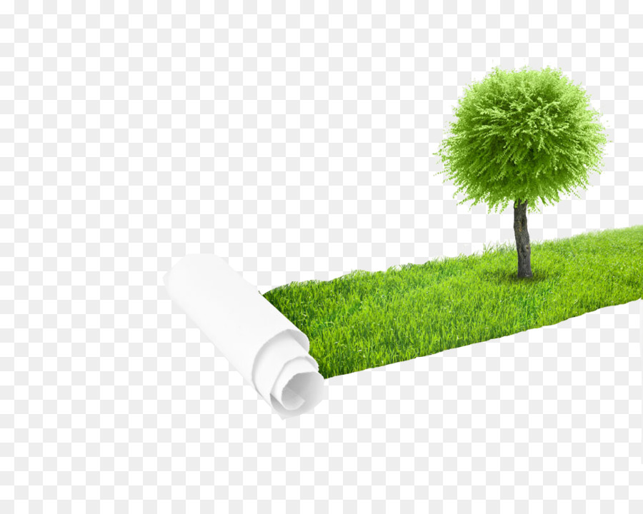 árbol Y Hierba，Rollo PNG