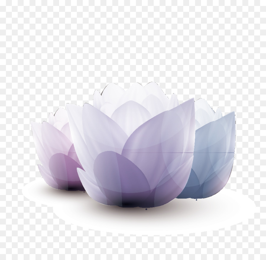 Nelumbo Nucifera，Euclídea Del Vector PNG