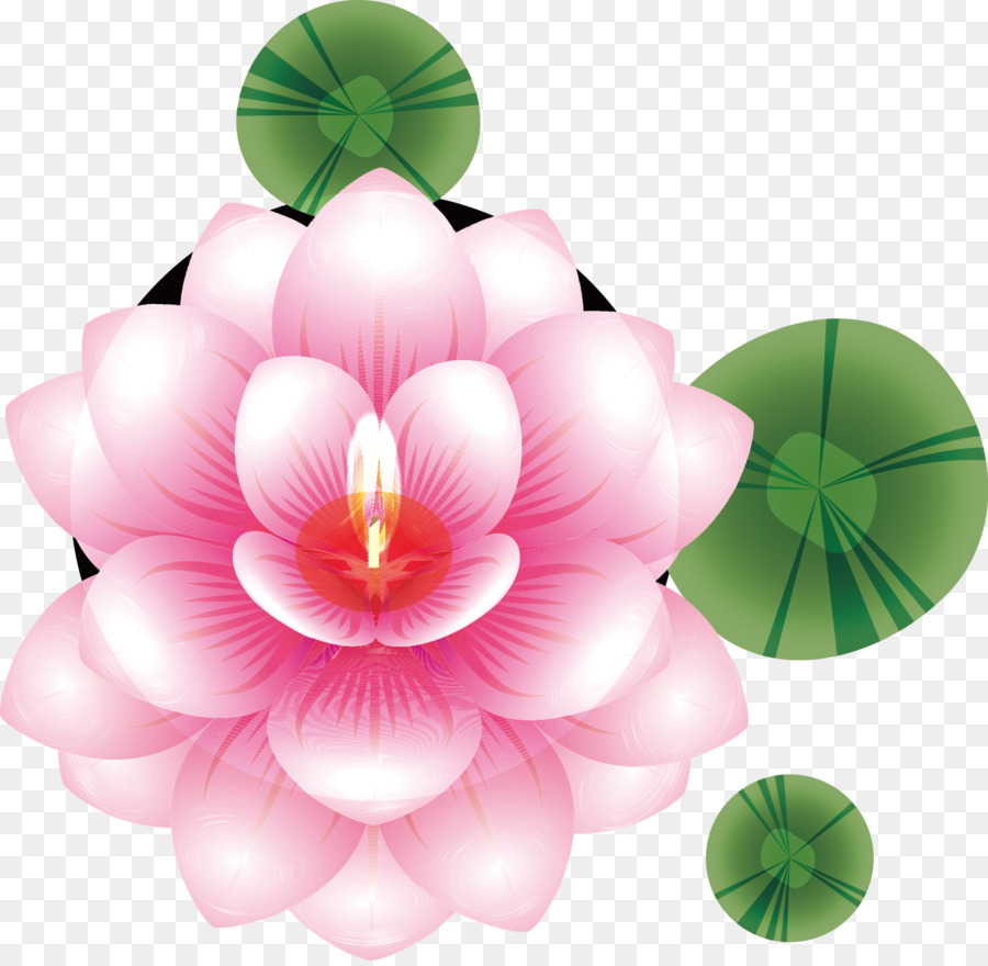 Flor De Loto，Rosa PNG