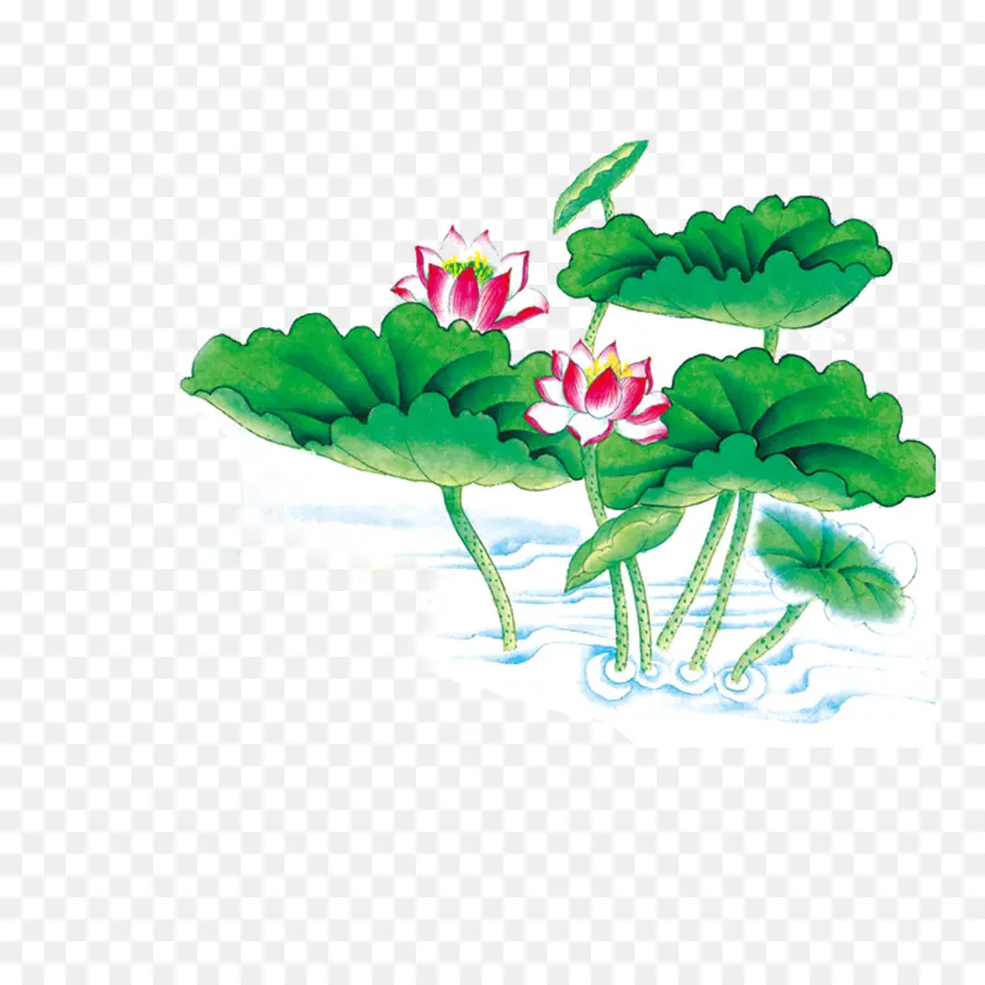 Flores De Loto Y Pájaro，Agua PNG