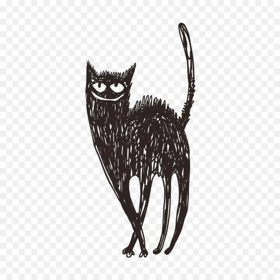 Gato Negro，Negro PNG