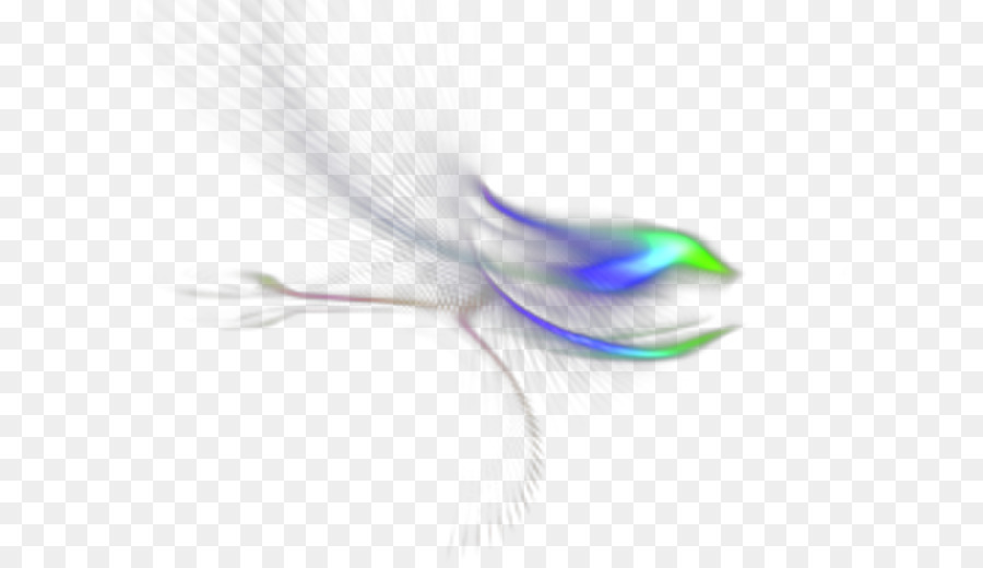 Pájaro Abstracto，Vuelo PNG