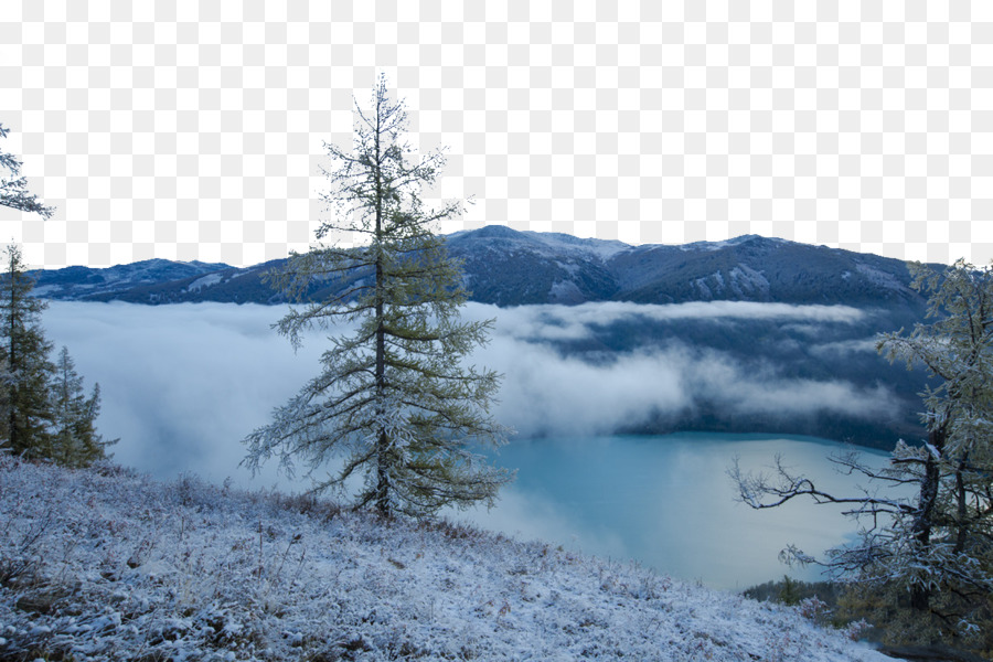 Lago Kanas，Pino PNG