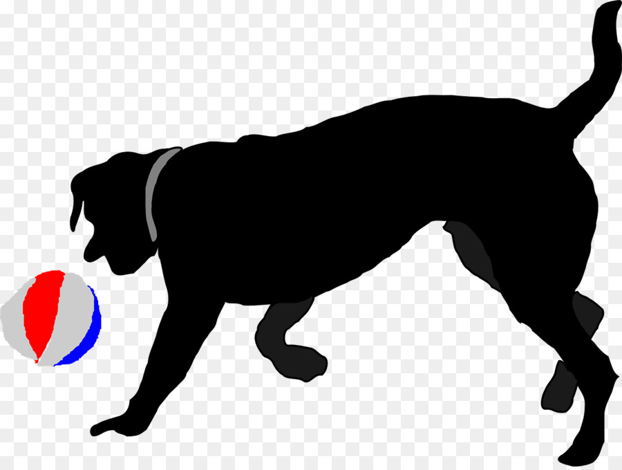 Labrador Retriever，Cachorro PNG