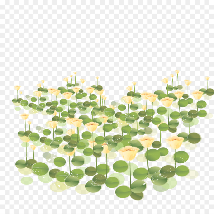 Campo De Loto Amarillo，Hojas Verdes PNG