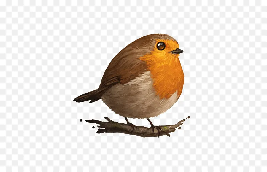 Pájaro，Europea Robin PNG