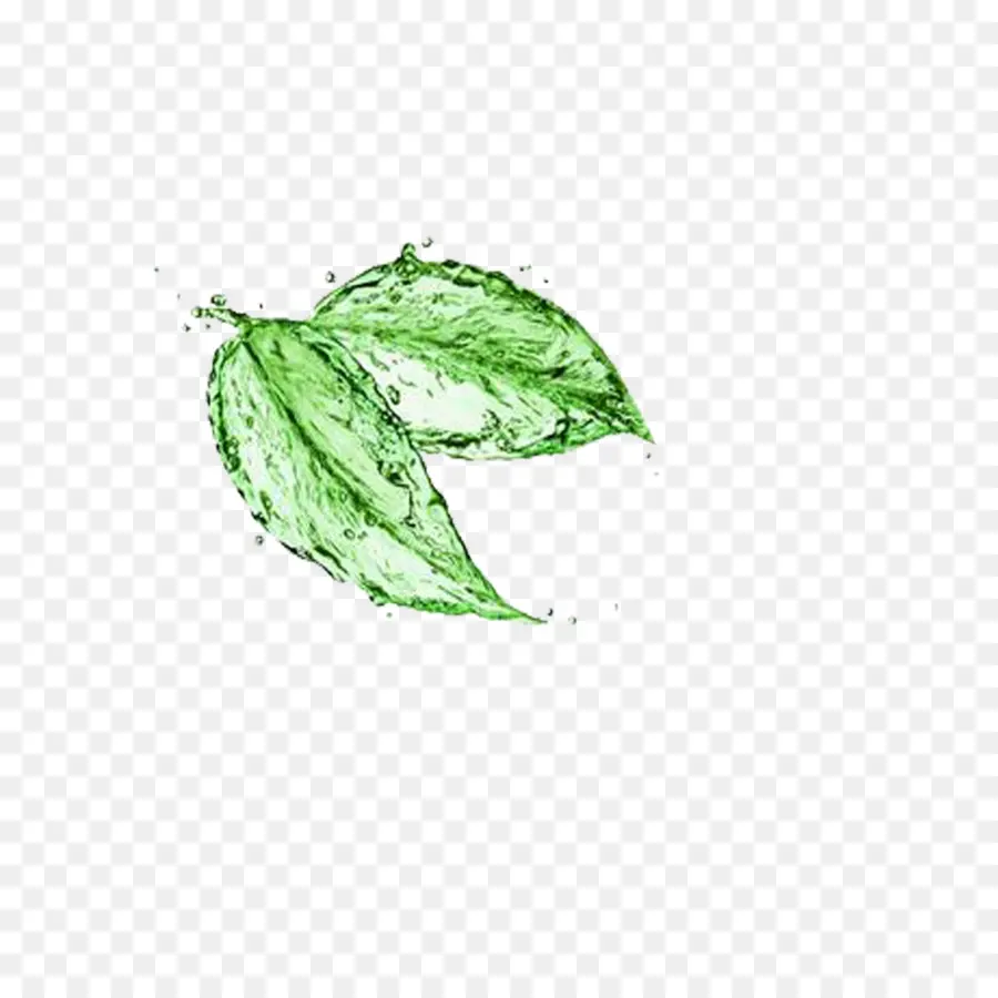 Té，Té Verde PNG