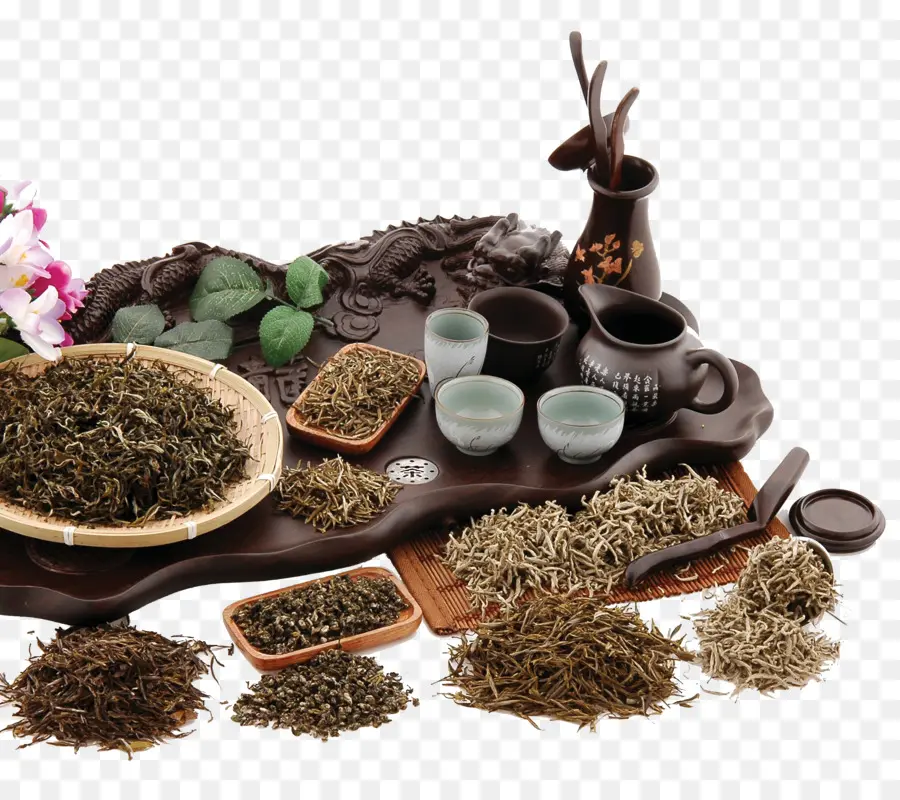 Té，Hojas PNG