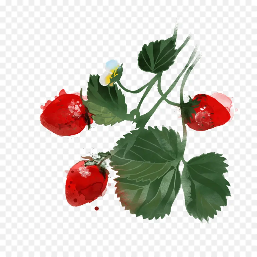 Fresas，Fruta PNG