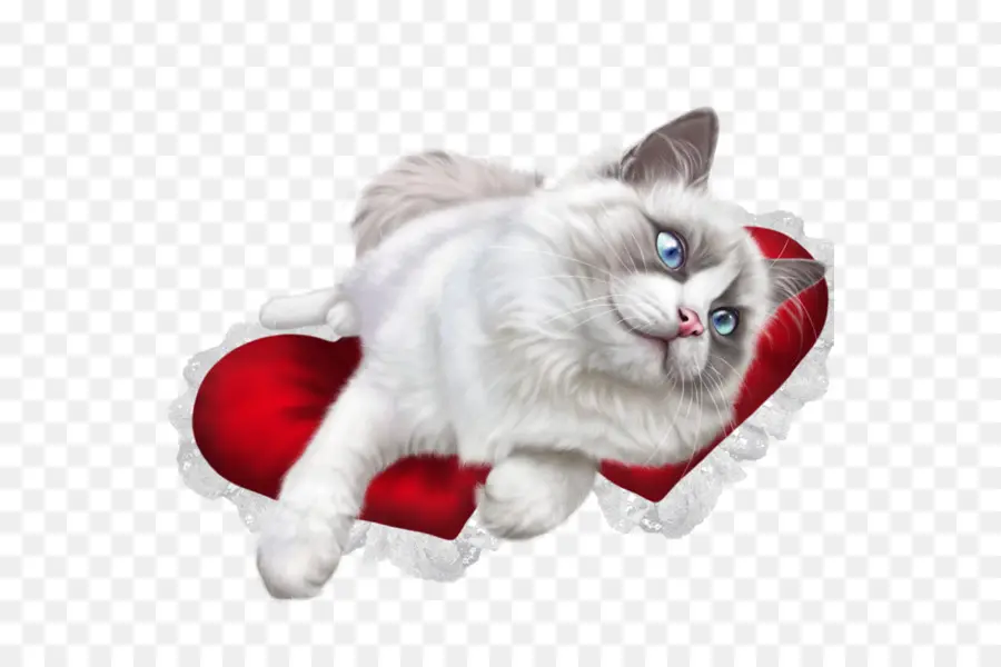 Gato Esponjoso，Esponjoso PNG