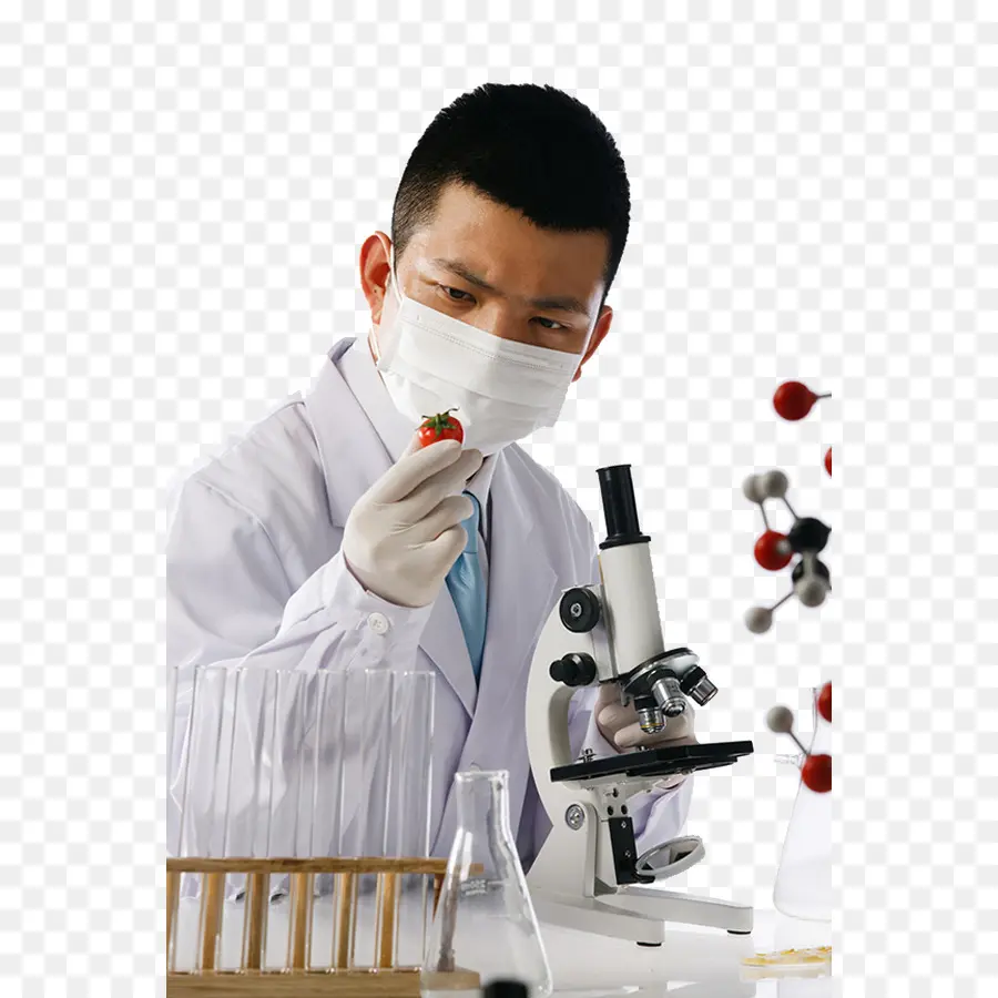 La Investigación，La Ciencia PNG