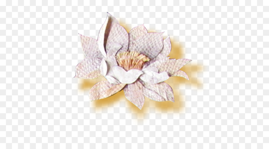 Flor Blanca，Pétalos PNG