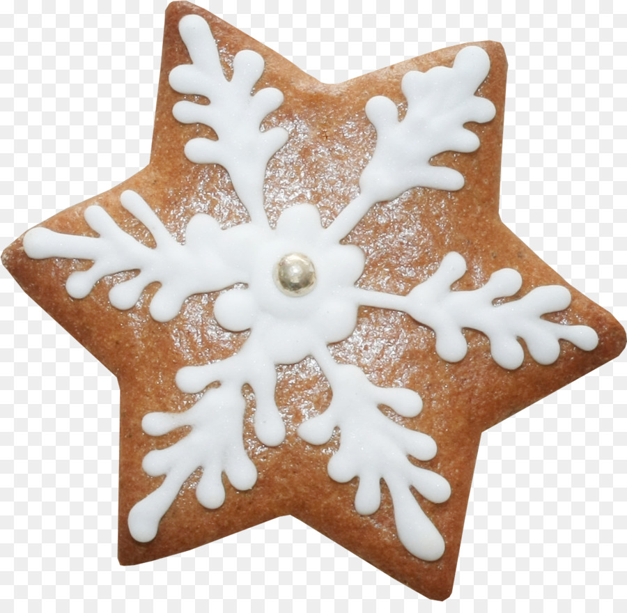 Galleta De Copo De Nieve，Galleta PNG