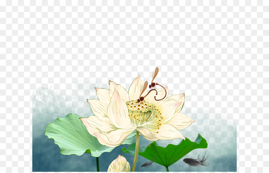 Flor De Loto，Hojas PNG