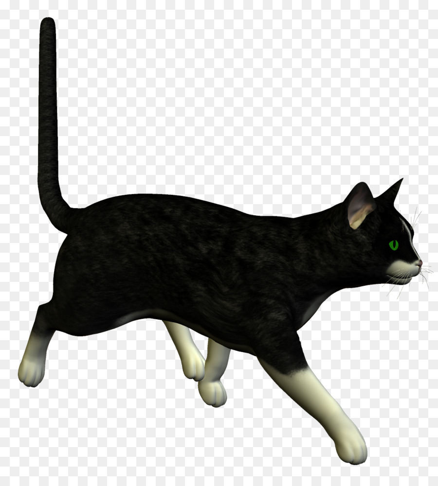 Gato，Gatito PNG