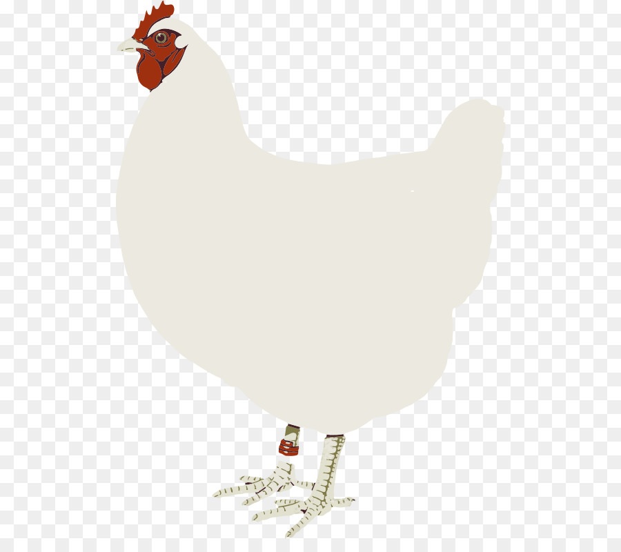 Gallo，Pollo PNG