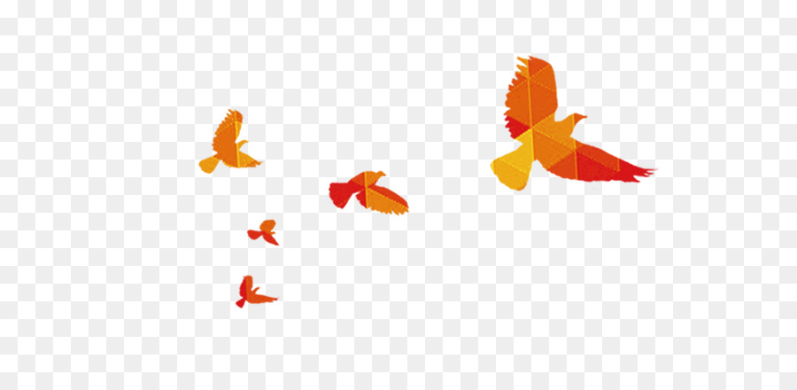 Pájaro Naranja，Vuelo PNG