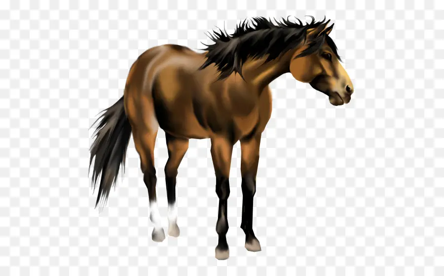 Caballo，Melena PNG