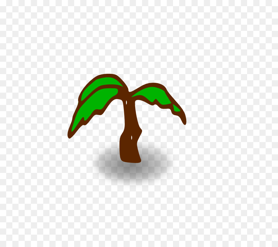 Palmera，árbol PNG