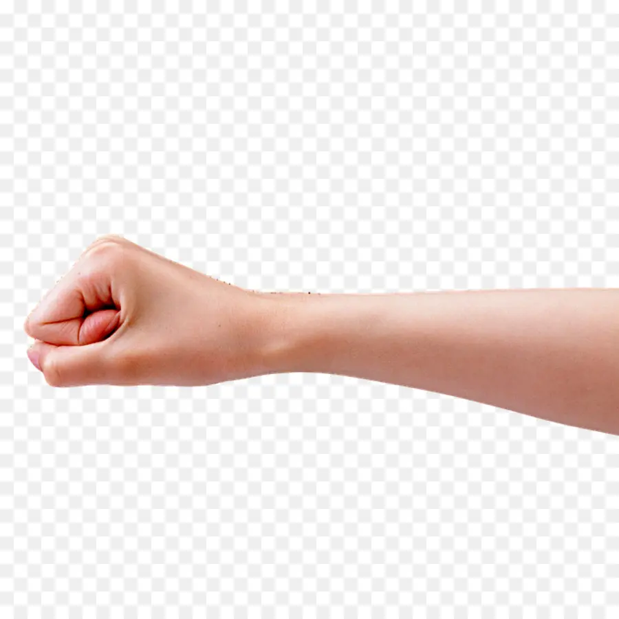 Pulgar，De La Mano De La Modelo PNG