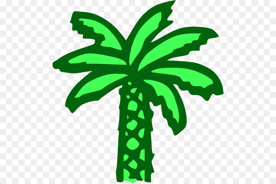 Arecaceae，árbol PNG