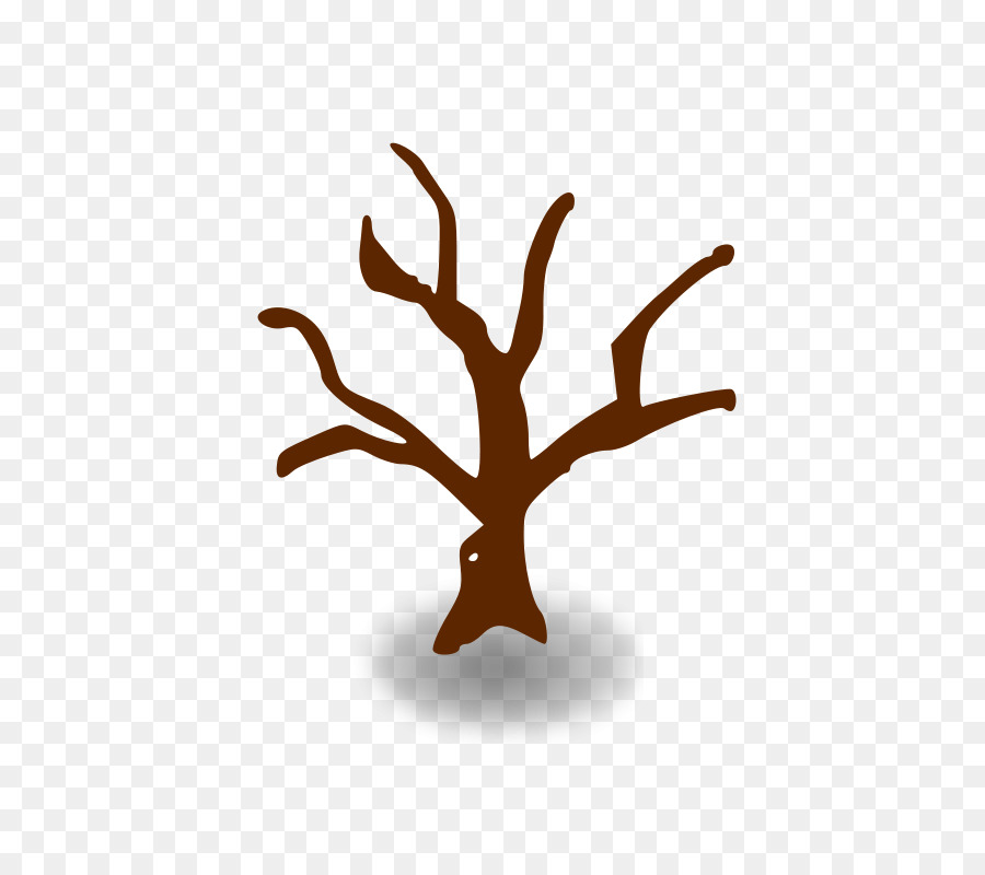 árbol，Rama PNG