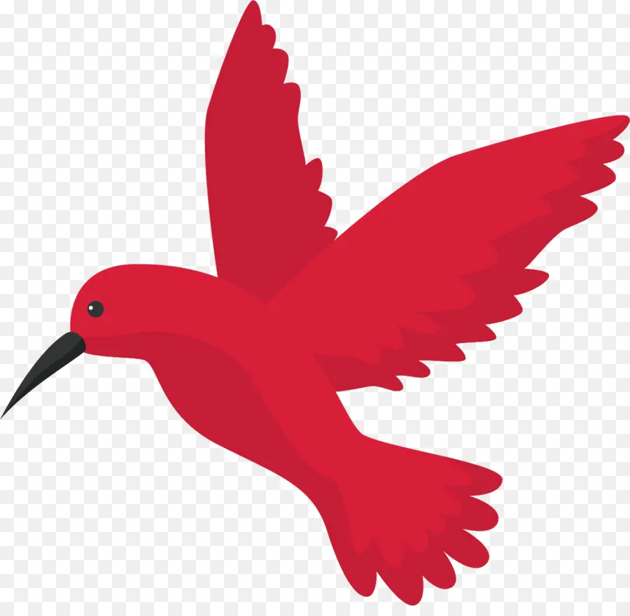 Pájaro，Colibrí PNG