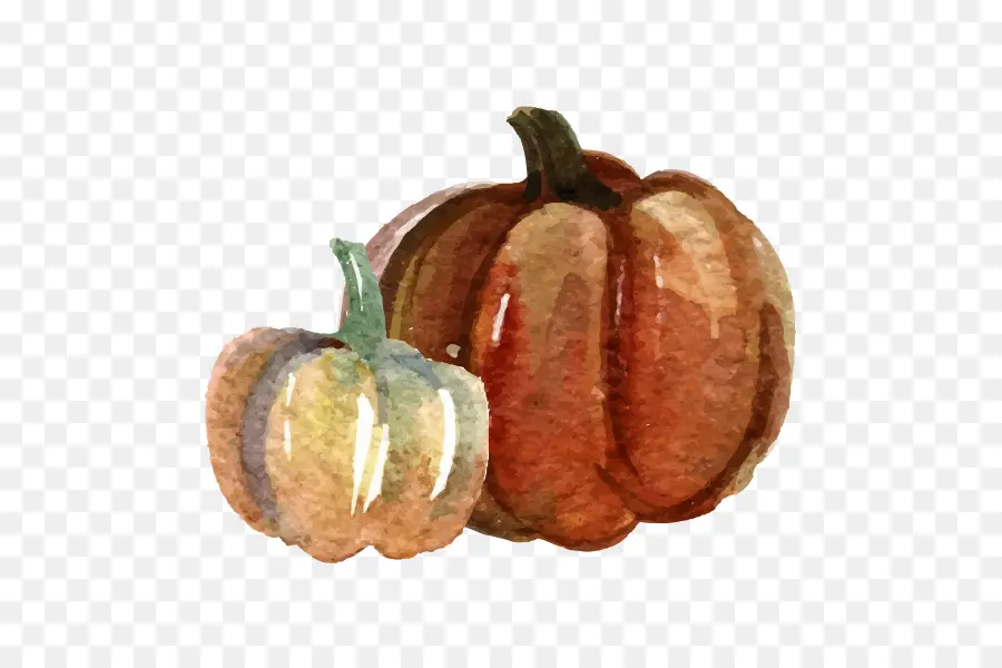 Calabaza，Pintura A La Acuarela PNG