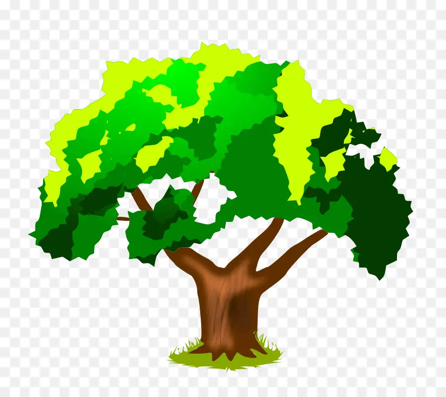 árbol，Cuento Corto PNG