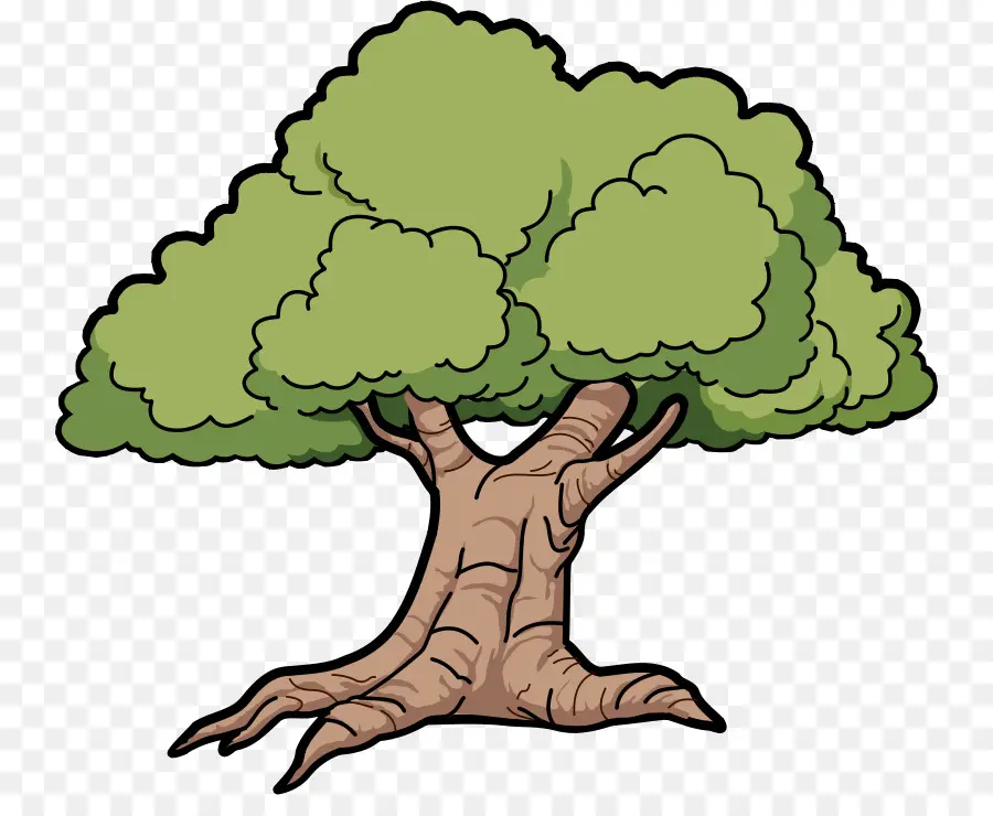 árbol，De Dibujos Animados PNG