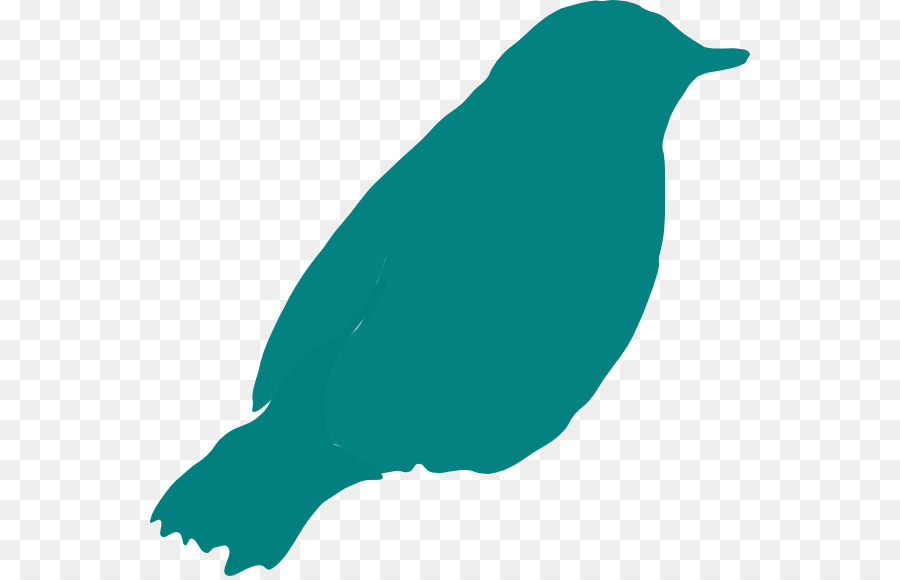 Pájaro，Común Raven PNG